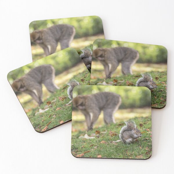 Item preview, Squirrel and Macaque in Natural Habitat designed and sold by David Patterson.