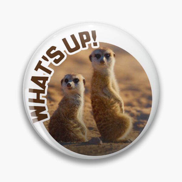 Item preview, Meerkats; Whats Up; designed and sold by StickerApe.