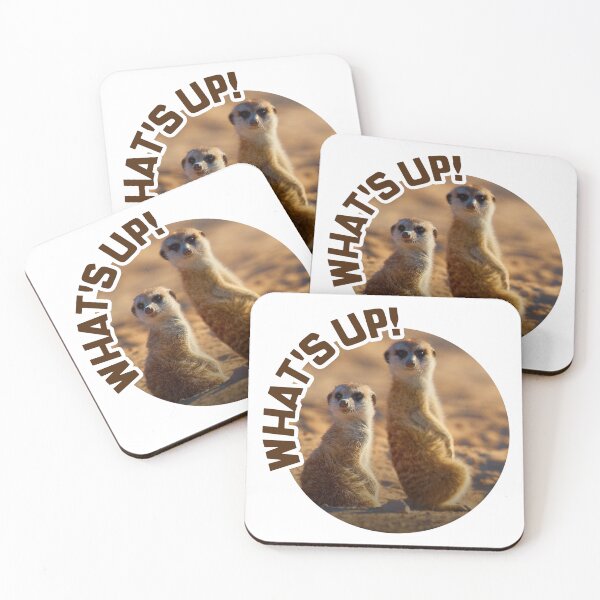 Item preview, Meerkats; Whats Up; designed and sold by StickerApe.