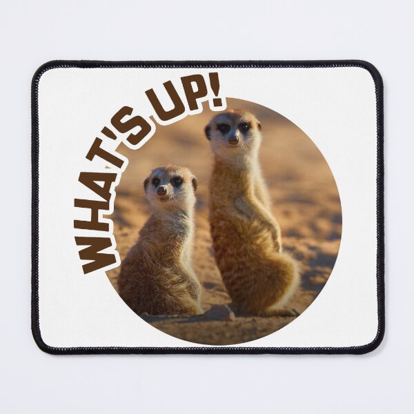 Item preview, Meerkats; Whats Up; designed and sold by StickerApe.