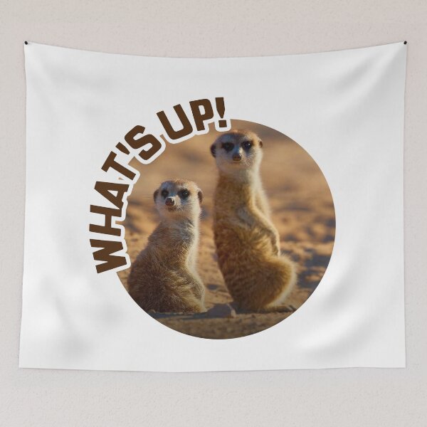 Item preview, Meerkats; Whats Up; designed and sold by StickerApe.