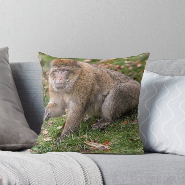 Item preview, Barbary Macaque in Natural Habitat designed and sold by David Patterson.