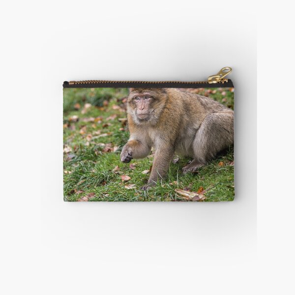 Item preview, Barbary Macaque in Natural Habitat designed and sold by David Patterson.
