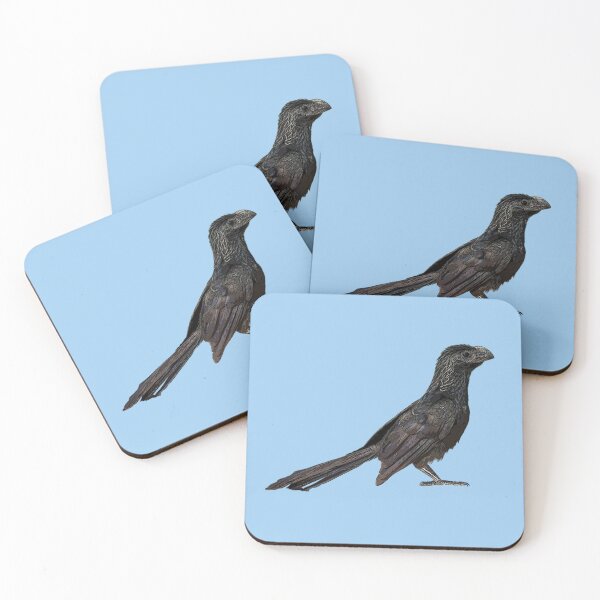 Item preview, Groove-billed Ani Color Design  designed and sold by designsasstultd.
