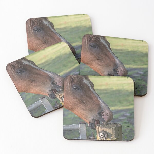 Item preview, Horse Biting a Fence Post designed and sold by David Patterson.