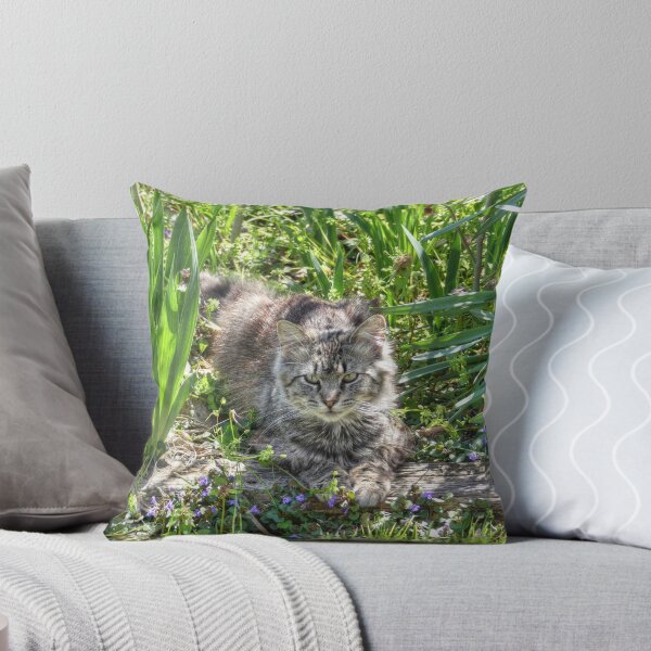 Item preview, Cat During Eclipse designed and sold by Frankie Cat Photography.