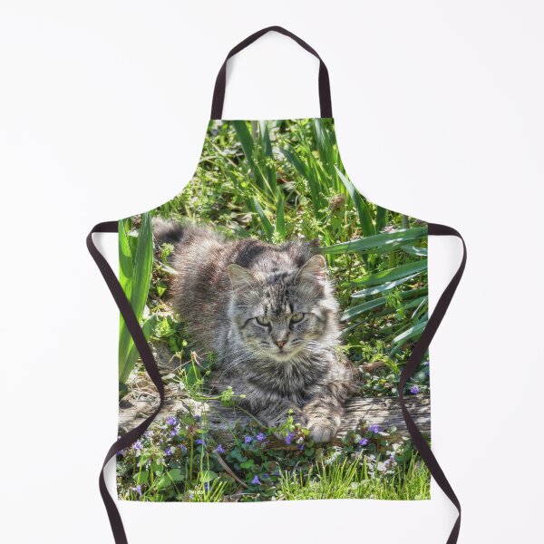 Item preview, Cat During Eclipse designed and sold by Frankie Cat Photography.