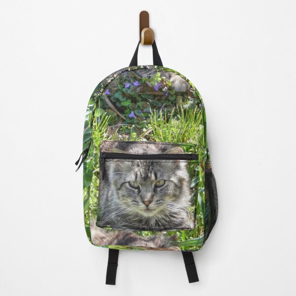 Item preview, Cat During Eclipse designed and sold by Frankie Cat Photography.