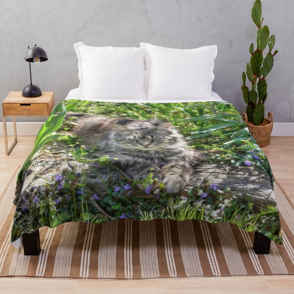 Item preview, Cat During Eclipse designed and sold by Frankie Cat Photography.