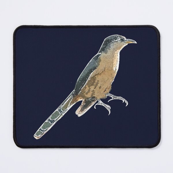 Item preview, Mangrove Cuckoo White Alternate Design  designed and sold by designsasstultd.