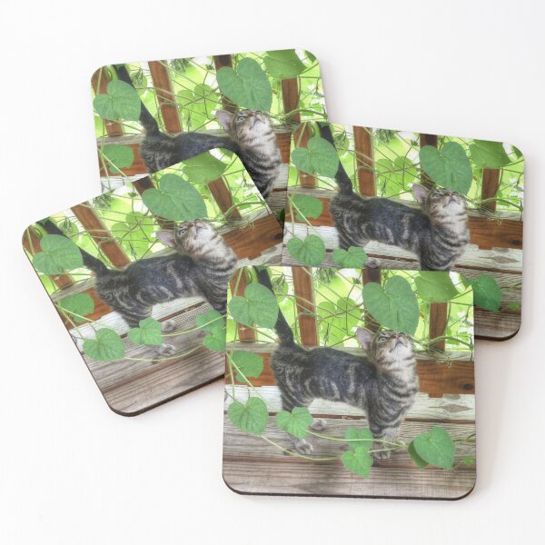 Item preview, Kitten and Morning Glories designed and sold by Frankie Cat Photography.