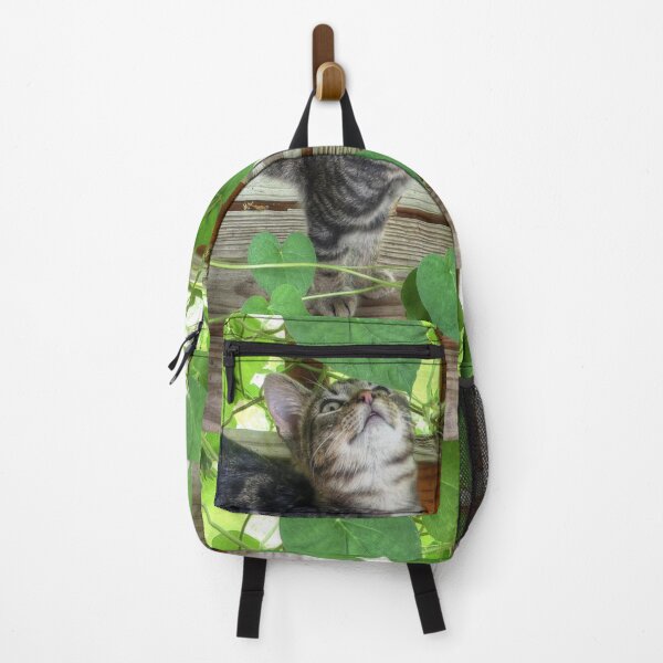 Item preview, Kitten and Morning Glories designed and sold by Frankie Cat Photography.