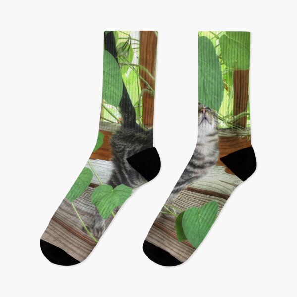Item preview, Kitten and Morning Glories designed and sold by Frankie Cat Photography.