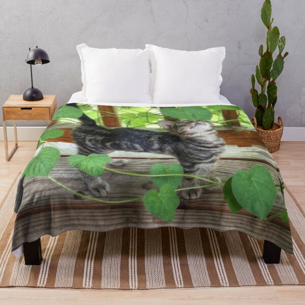 Item preview, Kitten and Morning Glories designed and sold by Frankie Cat Photography.