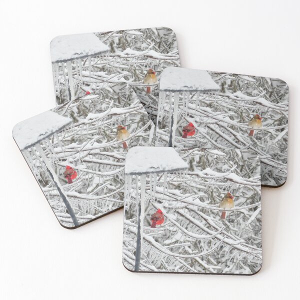 Item preview, Cardinals designed and sold by Frankie Cat Photography.