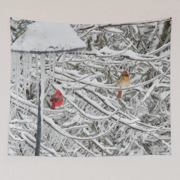 Item preview, Cardinals designed and sold by Frankie Cat Photography.