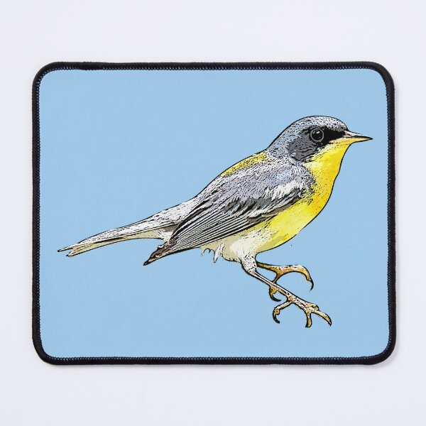 Item preview, Tropical Parula Black Alternate Design  designed and sold by designsasstultd.