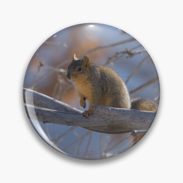 Item preview, Fox Squirrel designed and sold by SamuelGarner.