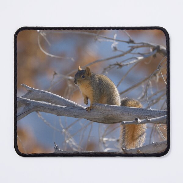 Item preview, Fox Squirrel designed and sold by SamuelGarner.
