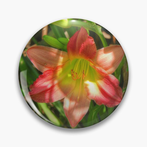 Item preview, Beautiful Lily designed and sold by Frankie Cat Photography.