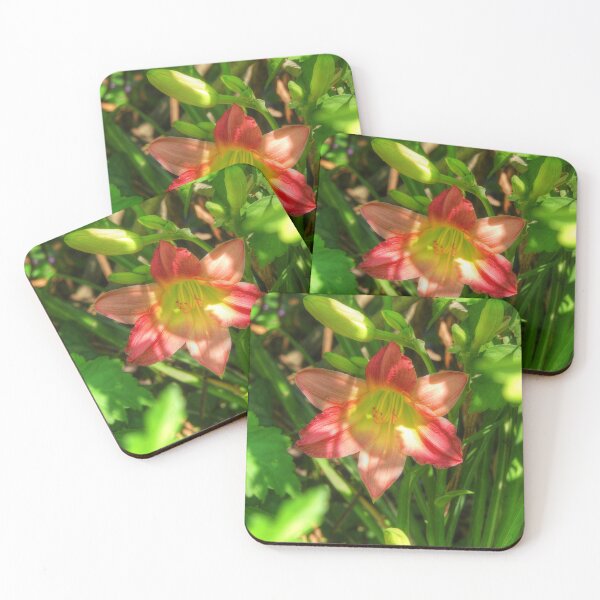 Item preview, Beautiful Lily designed and sold by Frankie Cat Photography.
