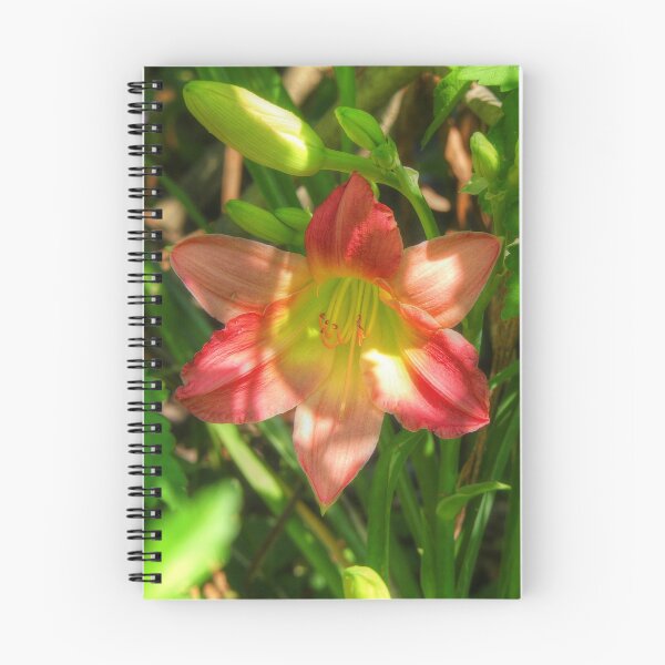 Item preview, Beautiful Lily designed and sold by Frankie Cat Photography.