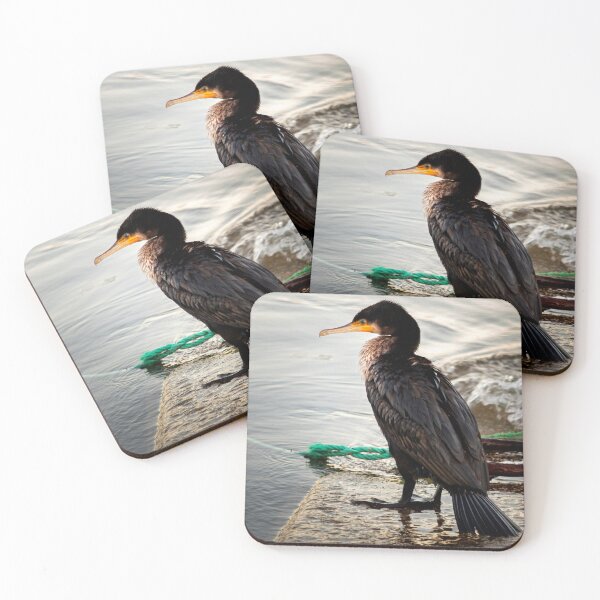 Item preview, cormorant designed and sold by luilli.