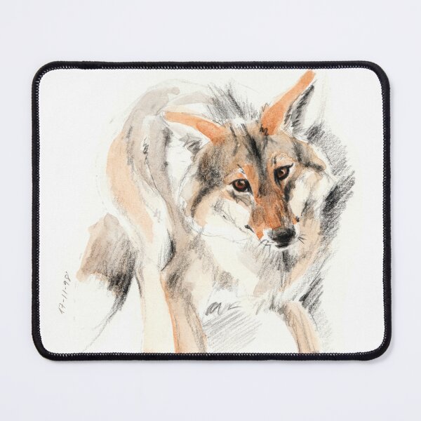 Item preview, Coyote sketch designed and sold by belettelepink.