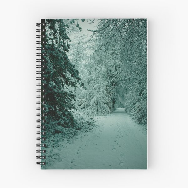 Item preview, Dappled trees designed and sold by TJPhotography97.