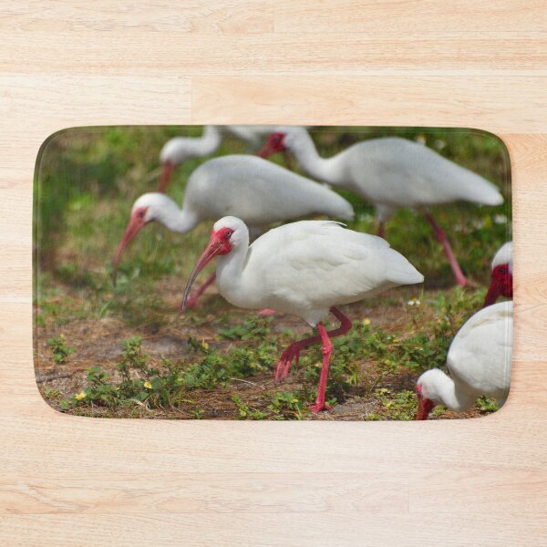 Item preview, American White Ibis designed and sold by SamuelGarner.