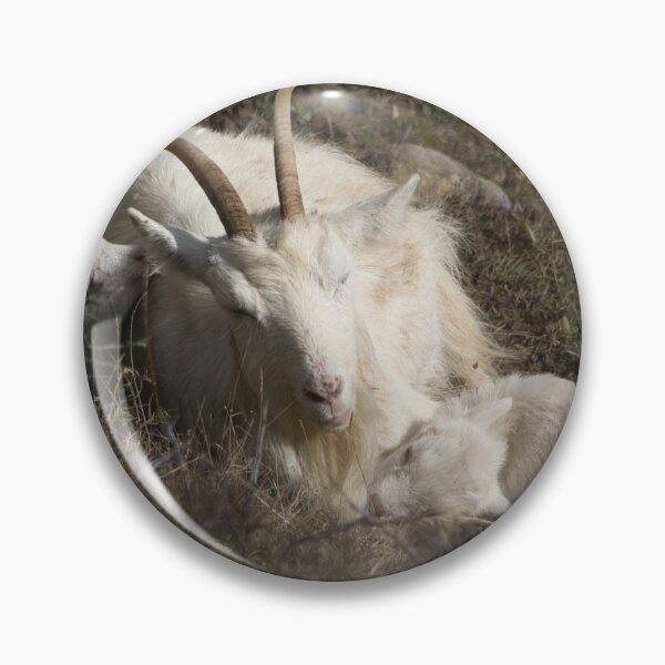 Item preview, Llandudno Welsh Mountain Goats designed and sold by Pic Your Way.