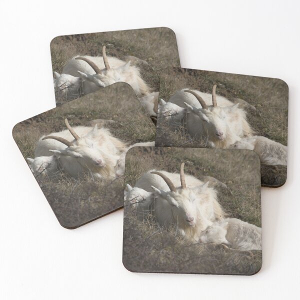 Item preview, Llandudno Welsh Mountain Goats designed and sold by Pic Your Way.