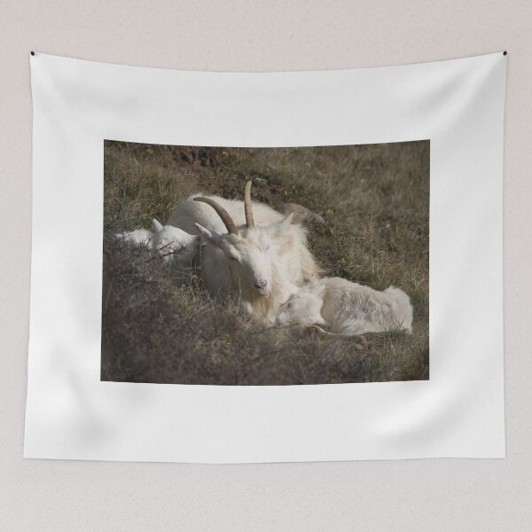 Item preview, Llandudno Welsh Mountain Goats designed and sold by Pic Your Way.