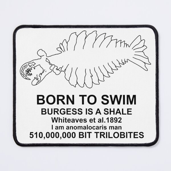 Item preview, Anomalocaris Born to Swim V1 designed and sold by ThePaleoDude.