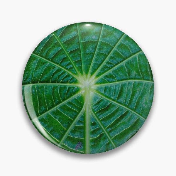 Item preview, Nature 14 - (c) ben yassa designed and sold by beny .