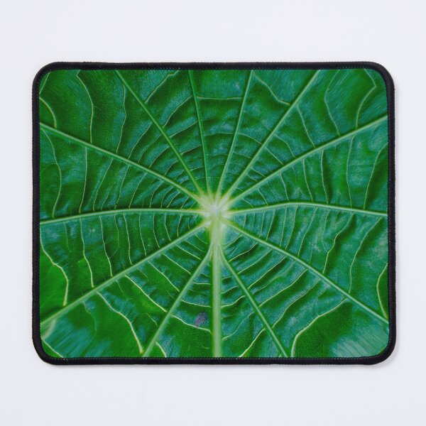 Item preview, Nature 14 - (c) ben yassa designed and sold by beny .