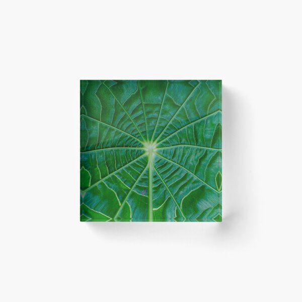 Item preview, Nature 14 - (c) ben yassa designed and sold by beny .