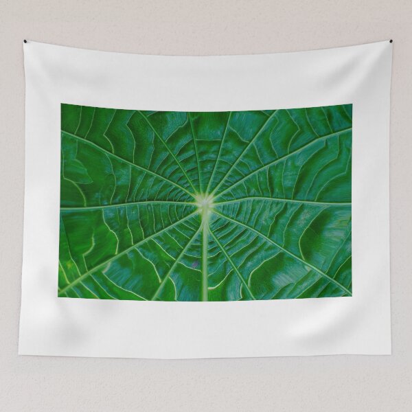 Item preview, Nature 14 - (c) ben yassa designed and sold by beny .