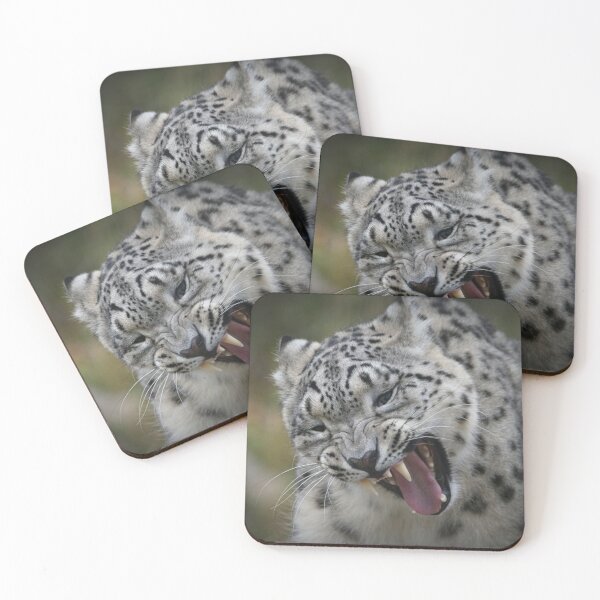 Item preview, Snow Leopard - Colwyn Bay Zoo designed and sold by Pic Your Way.