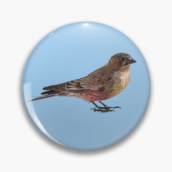 Item preview, Brown-capped Rosy-Finch Color Design  designed and sold by designsasstultd.