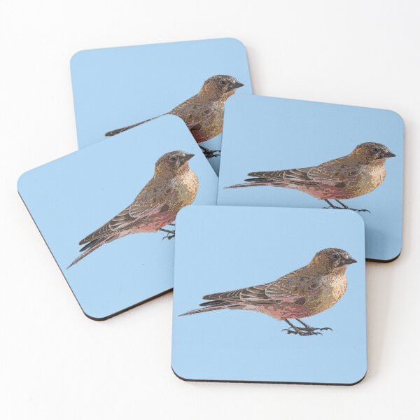 Item preview, Brown-capped Rosy-Finch Color Design  designed and sold by designsasstultd.