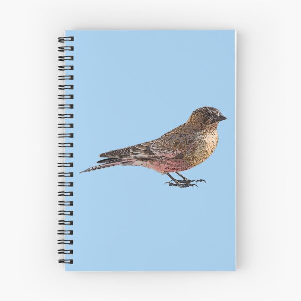 Item preview, Brown-capped Rosy-Finch Color Design  designed and sold by designsasstultd.