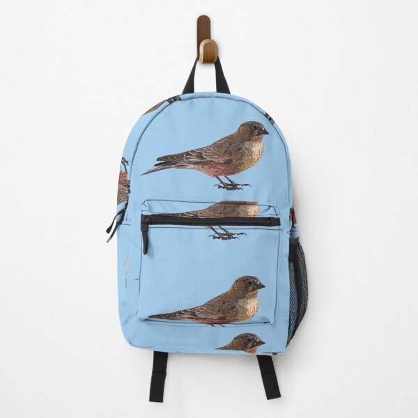 Item preview, Brown-capped Rosy-Finch Color Design designed and sold by designsasstultd.