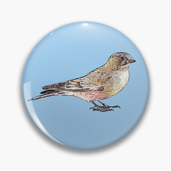 Item preview, Brown-capped Rosy-Finch Black Alternate Design  designed and sold by designsasstultd.