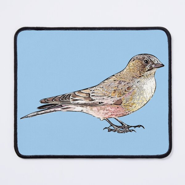 Item preview, Brown-capped Rosy-Finch Black Alternate Design  designed and sold by designsasstultd.