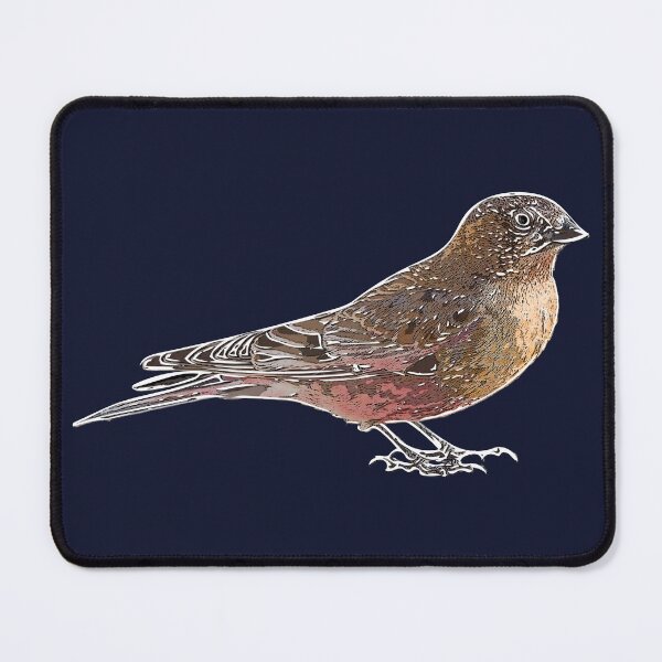 Item preview, Brown-capped Rosy-Finch White Alternate Design designed and sold by designsasstultd.