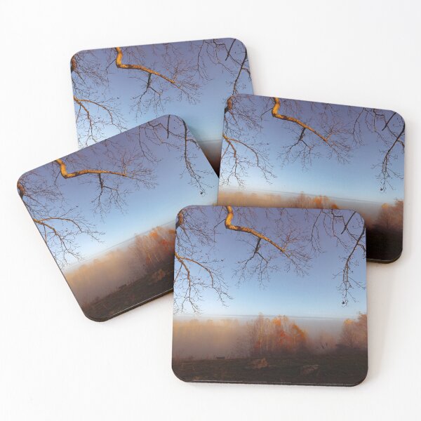 Item preview, Branches designed and sold by Jim Love.