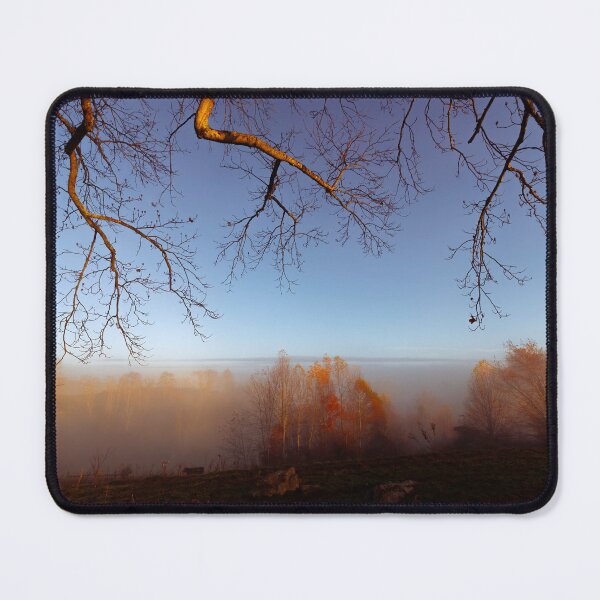 Item preview, Branches designed and sold by Jim Love.