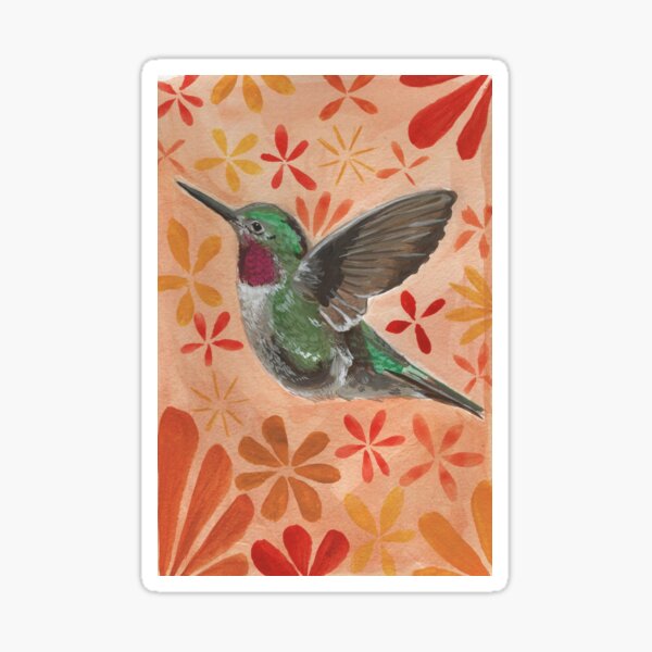 Anna's Hummingbird Sticker
