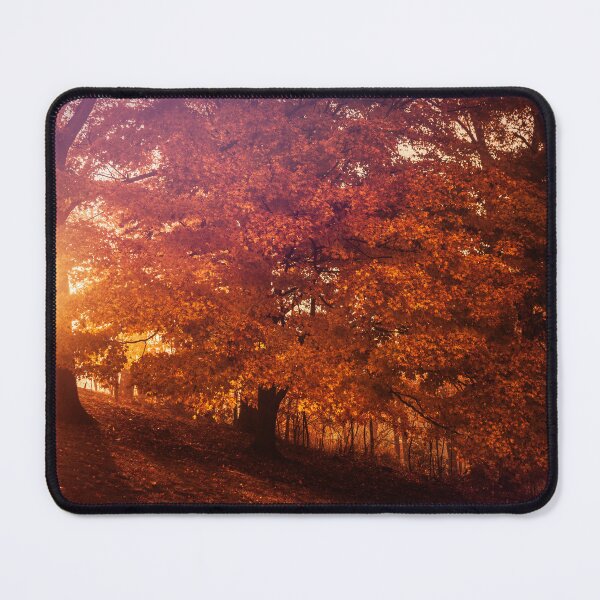Item preview, Dawn Brings The Color designed and sold by Jim Love.